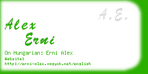 alex erni business card